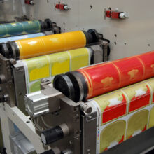 15605-shutterstock_65030281